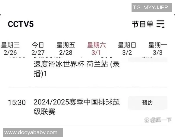 上海排球队战术表现分析与锦标赛精彩点评